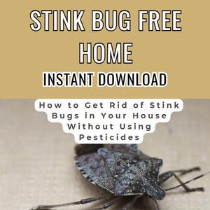Puede incluir: Imagen con texto: "STINK BUG FREE HOME INSTANT DOWNLOAD" y "How to Get Rid of Stink Bugs in Your House Without Using Pesticides." Primer plano de una chinche apestosa en primer plano. El fondo es de color marrón claro.