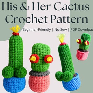 His & Her frechen Kaktus Häkelanleitung | Witziges Amigurumi (PDF Pattern)