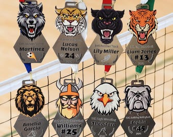 Custom Volleyball Sports Medal Special Award Premium Quality Stainless Steel Design Athletic Recognition Team Achievement Championship