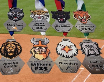 Baseball Player Award Medal Championship Recognition Special Premium Quality Stainless Steel Custom Display Graduation Ceremony Achievement