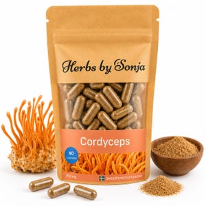 Cordyceps Militaris paddenstoelcapsules: 40% polysacchariden, veganistische nootropische ondersteuning