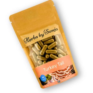 Kalkoenstaartpaddestoelcapsules: 50% polysachariden, veganistisch adaptogeen