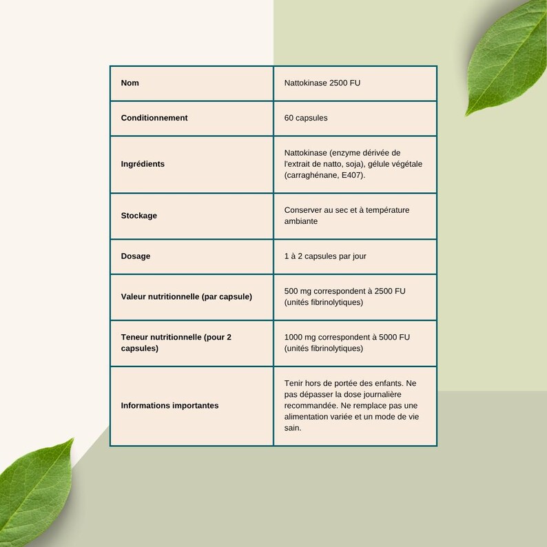 K&ouml;nnte beinhalten: Produktinformationsblatt f&uuml;r Nattokinase 2500 FU Kapseln. Das Blatt listet den Namen, die Inhaltsstoffe, die Lagerungshinweise, die Dosierung und den N&auml;hrwert pro Kapsel auf. Das Blatt hat einen hellgr&uuml;nen Hintergrund.