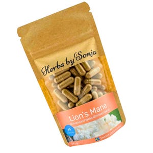 Capsule di estratto di fungo criniera di leone: supporto cerebrale nootropico
