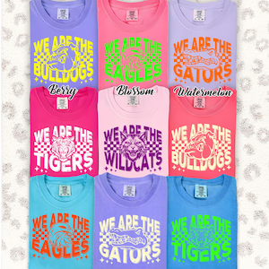 COMFORT COLORS Neon Mascot Custom Tee, Custom Retro Checkerboard We Are Mascot Shirt, Baseball Team Mascot Shirt, School Mascot Retro Tee