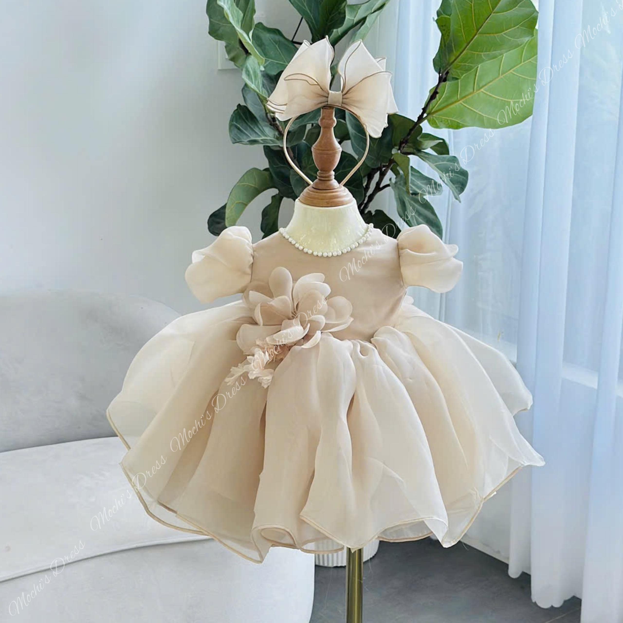 Champagne Baby Dress - Etsy Ireland