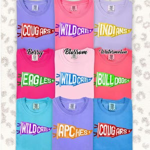 Comfort Colors Vintage Watercolor Pennant Mascot Shirt, Personalized School Spirit Shirts with Your Team Name, Colors & Mascot for Game Days