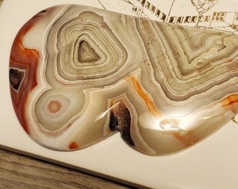 Crazy Lace Agate with Druzy on edges