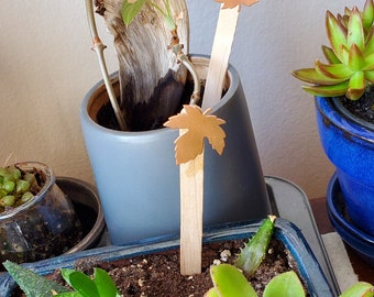 Plant stakes.  Add a theme to your plant