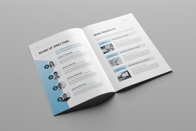 May include: Open book with the titles "Board of Directors" and "Main Products" on a grey surface. The left page features headshots of directors and the right page lists products with images. The design incorporates blue accents.