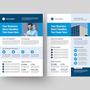Business One Pager Bundle | Professional Executive Summary | Company ...