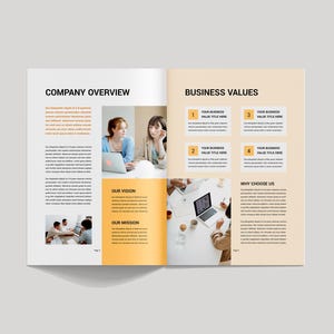 Op de afbeelding: Een spread uit een brochure met de titels "Company Overview" en "Business Values". De brochure bevat afbeeldingen van mensen die op laptops werken en tekstvakken met titels en beschrijvingen. De pagina's zijn wit en lichtoranje.