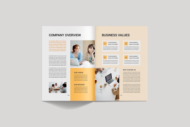 Op de afbeelding: Een spread uit een brochure met de titels "Company Overview" en "Business Values". De brochure bevat afbeeldingen van mensen die op laptops werken en tekstvakken met titels en beschrijvingen. De pagina's zijn wit en lichtoranje.