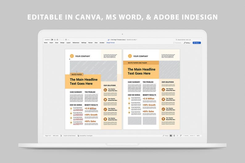 One Pager Template | Business Executive Summary | Company White Paper ...
