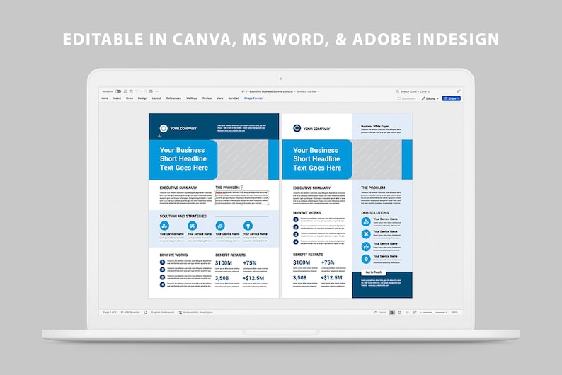 Business One Pager Bundle | Professional Executive Summary | Company ...