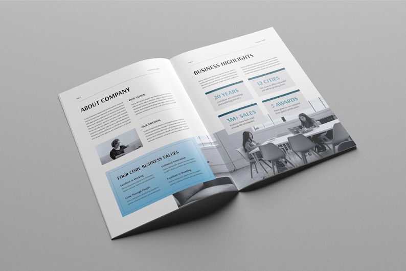 May include: An open business brochure, featuring the headings "ABOUT COMPANY" and "BUSINESS HIGHLIGHTS". The brochure displays text, images, and key statistics, including "20 YEARS", "12 CITIES", "3M+ SALES", and "5 AWARDS". The pages are white with a grey background.