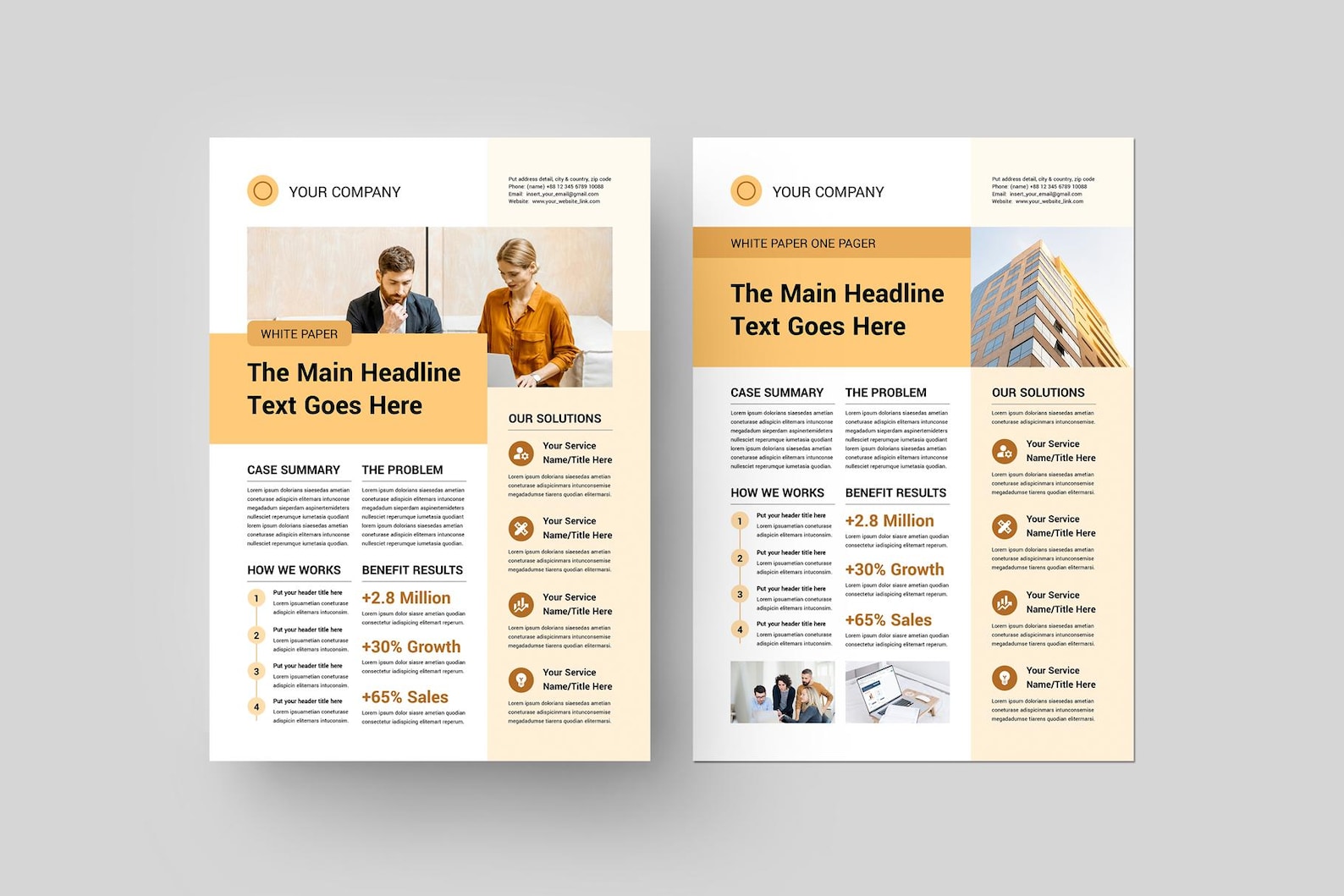 Business One Pager Bundle | Professional Executive Summary | Company ...