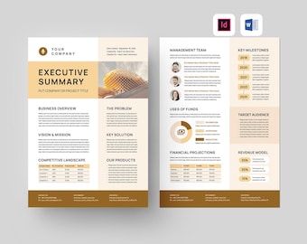 Szablon streszczenia | Microsoft Word | Adobe Indesign | Dokument raportu firmy | Prezentacja startupu dla inwestorów | Arkusz teaserowy inwestycji