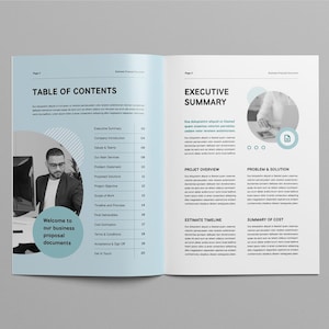 May include: A two-page business proposal document with a table of contents and an executive summary. The document features a blue and white color scheme with a circular graphic of a person working on a computer.