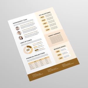 Executive Summary Template | Microsoft Word | Adobe Indesign | Company ...