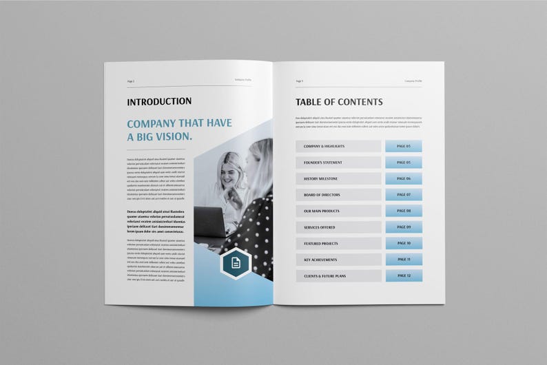 May include: Open book with the title "INTRODUCTION" and the text "COMPANY THAT HAVE A BIG VISION." The right page shows a "TABLE OF CONTENTS" with a list of topics and page numbers. Two women are shown working on a laptop.