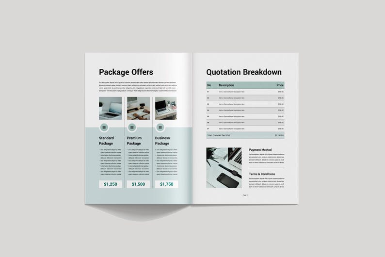 May include: An open book with the title "Package Offers" and "Quotation Breakdown". The left page displays three package options: Standard, Premium, and Business. Each package has a price listed below it. The right page shows a quotation breakdown.