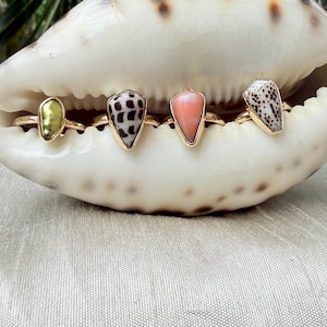 May include: Four rings with gold-toned bands and unique stone settings are displayed against a large, cream-colored cowrie shell with brown spots. The stones include a metallic green piece, a white shell with brown spots, a smooth pink stone, and a white shell with brown spots.