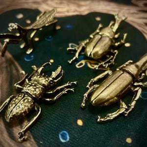 Brass Insect Figurines - Vintage Style Entomology Decor - Set of 4