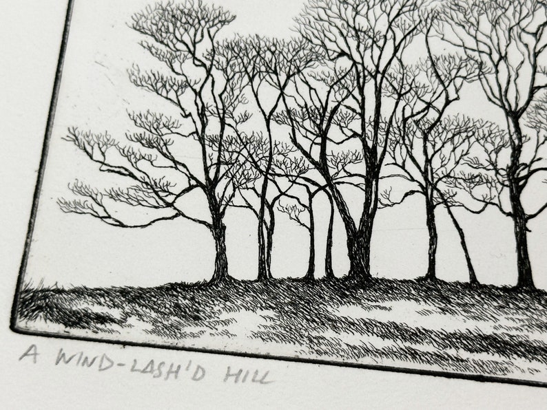 A Wind-lash'd Hill Intaglio print image 6
