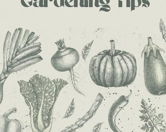 Gardening Tips and Tricks Digital Booklet