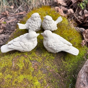 May include: Four small, white, concrete bird figurines on a mossy rock. The birds are facing each other in a circle.