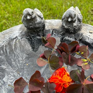 Stein Vogeltränke-rustikaler Garten.