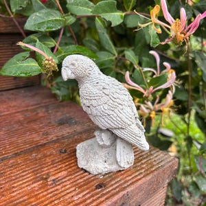 Handmade Concrete Bird Statue – Cement Sculpture – Garden & Home Decor