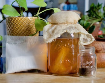 Kombucha Brewing Starter Kit Tea: SCOBY, Strong Starter Tea, and Sugar