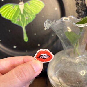 May include: A small sticker featuring red lips with the word "FEMINIST" in black. The sticker is held in front of a black plate with a green moth illustration and a clear glass vase.