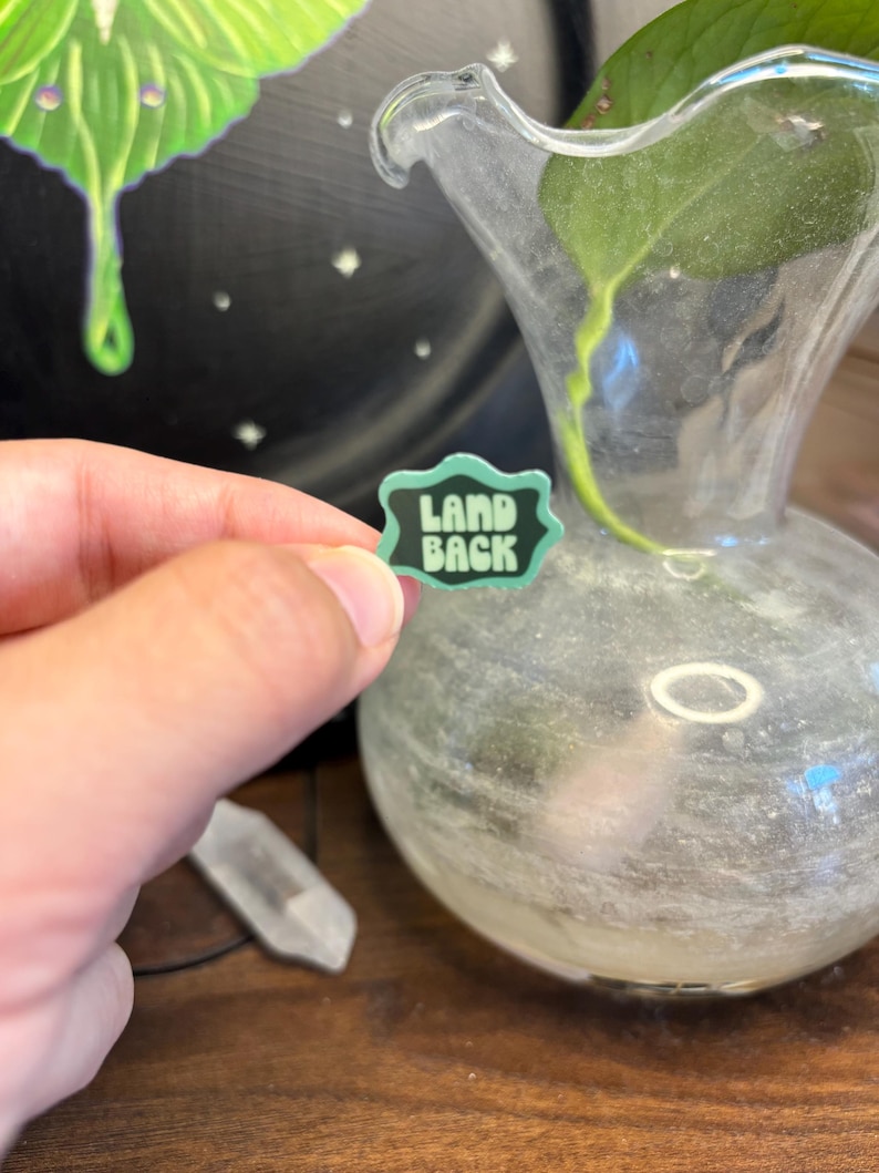 May include: A small, teal and black enamel pin with the words "LAND BACK" in a bold font. The pin is held in front of a clear glass vase with a plant inside. A clear crystal and a black and green painting are in the background.