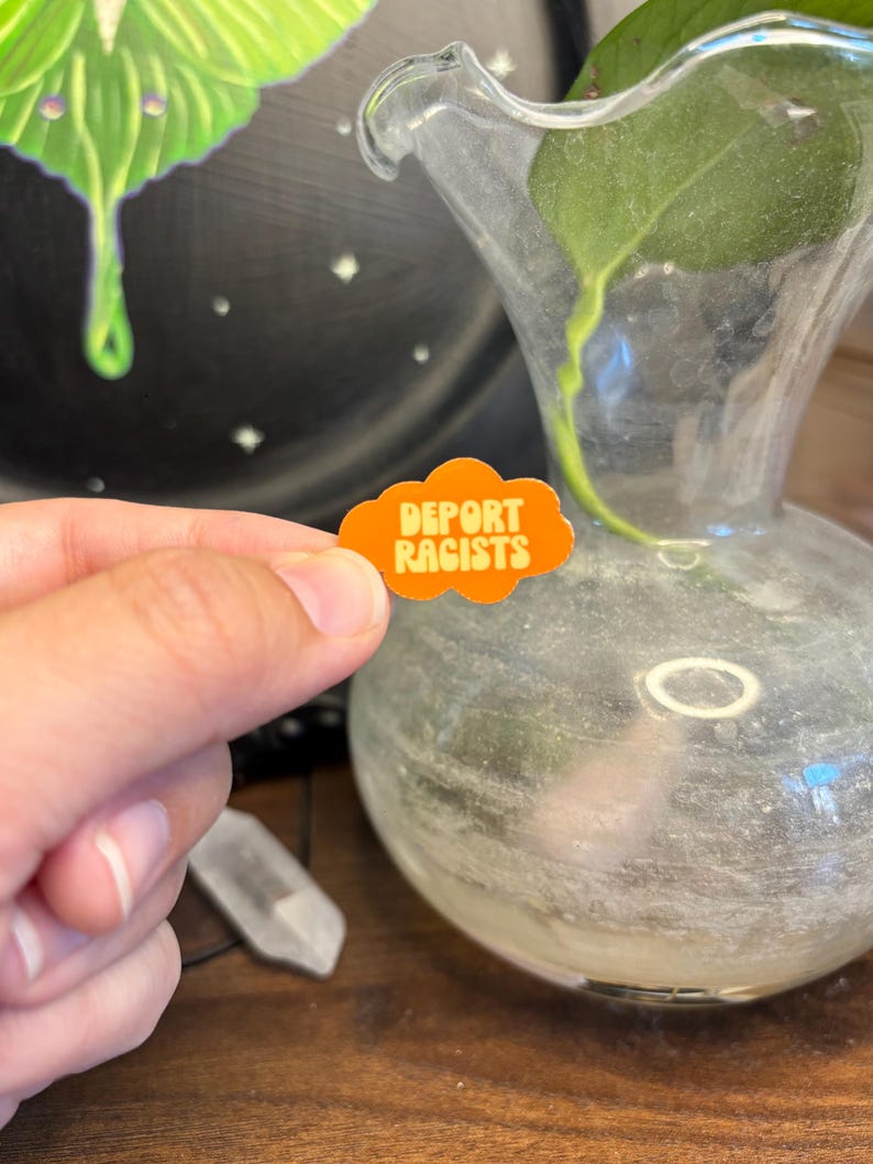 May include: An orange cloud-shaped pin with the words "DEPORT RACISTS" in white block letters. The pin is held in front of a clear glass vase with a plant inside. A crystal and a dark background are also visible.