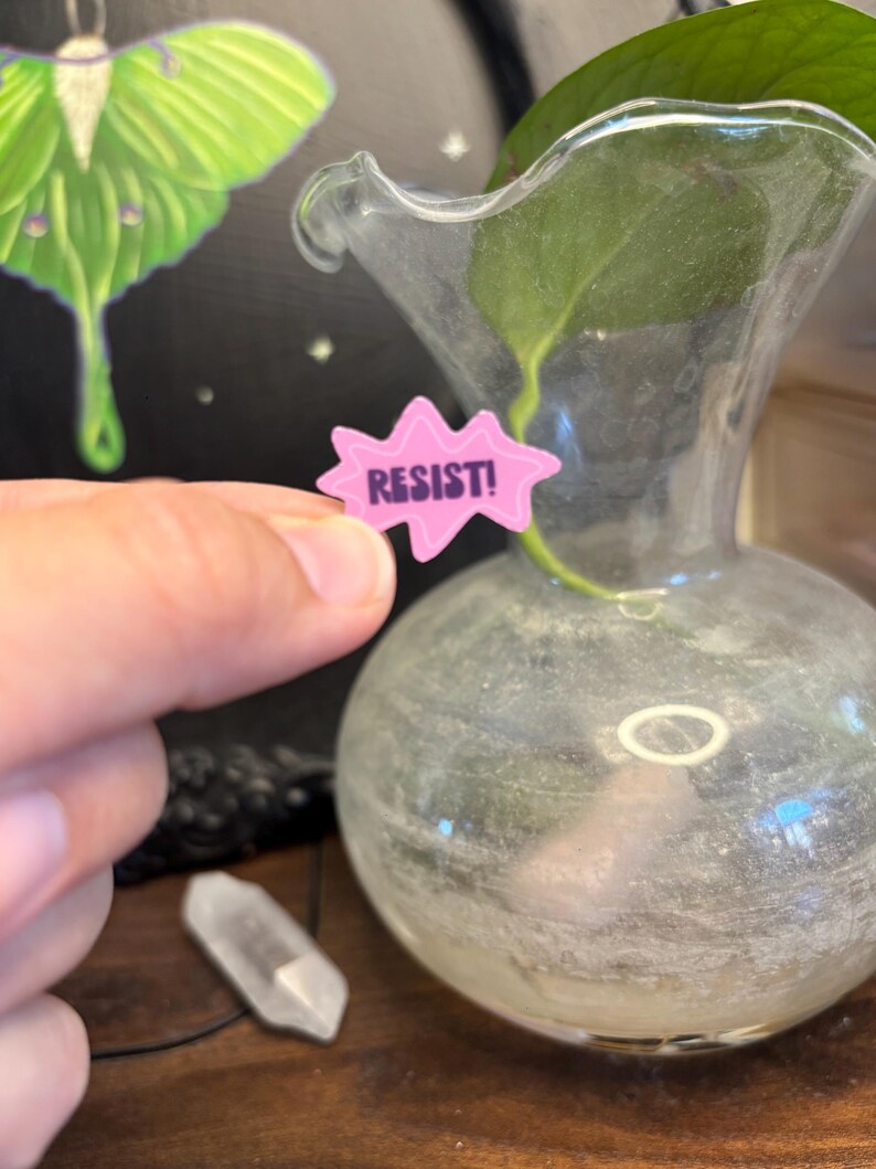 May include: A pink, starburst-shaped pin with the word "RESIST!" in white text. The pin is held in front of a clear glass vase with a green plant inside. A green and yellow moth illustration is in the background.