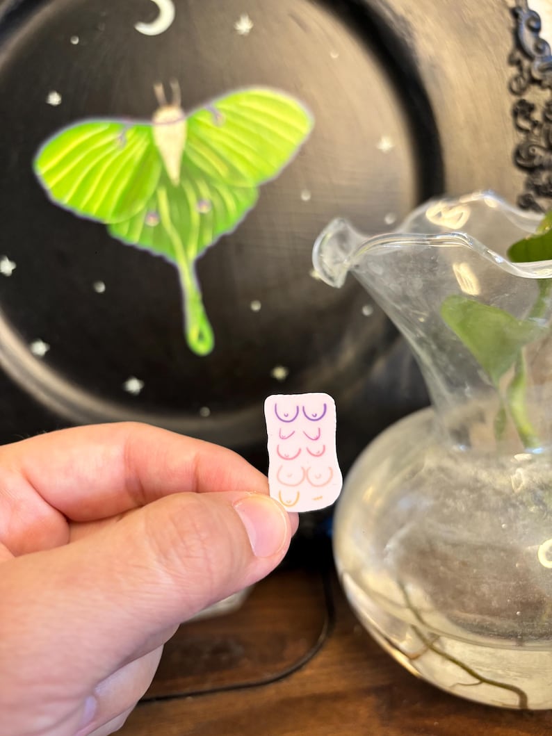 May include: A small sticker featuring a series of stylized breasts in shades of pink, purple, and orange. The sticker is held in a hand, with a black plate featuring a green moth and a glass vase in the background.