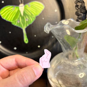 May include: A small, pink sticker depicting a stylized female form. The sticker is held in a hand, with a black plate featuring a green moth and a glass vase in the background. The moth has green wings and a long tail.