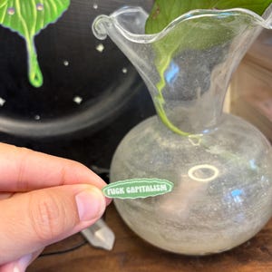 May include: A clear glass vase with a round base and flared top, holding a green plant. A small, oval sticker with the text "FUCK CAPITALISM" is held in front of the vase. A black background with a green and white moth illustration is visible.