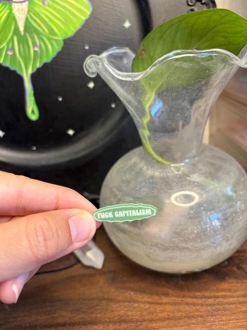 May include: A clear glass vase with a round base and flared top, holding a green plant. A small, oval sticker with the text "FUCK CAPITALISM" is held in front of the vase. A black background with a green and white moth illustration is visible.