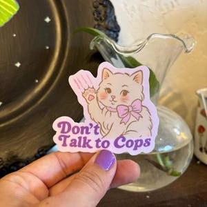 Don’t Talk to Cops Cat Sticker Cute Protest Sticker, Anti-cop Decal, Coquette Political Vinyl Sticker, don’t talk to cops cops decal