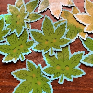 May include: A collection of green cannabis leaf stickers with light blue borders. Each sticker features a smiling or frowning face. The leaves have detailed vein patterns and are scattered across a wooden surface.