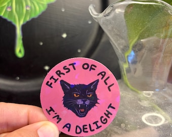 First of all I’m a delight Holographic Black Cat Sticker: Witchy Sarcastic Vinyl Decal