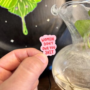 May include: A pink, cloud-shaped sticker with the text "WOMEN DON'T OWE YOU SHIT" in red lettering. The sticker is held in a hand, with a blurred background featuring a green and white moth illustration and a glass vase.