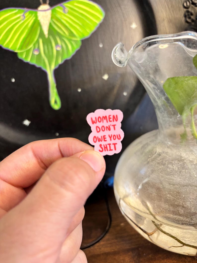 May include: A pink, cloud-shaped sticker with the text "WOMEN DON'T OWE YOU SHIT" in red lettering. The sticker is held in a hand, with a blurred background featuring a green and white moth illustration and a glass vase.