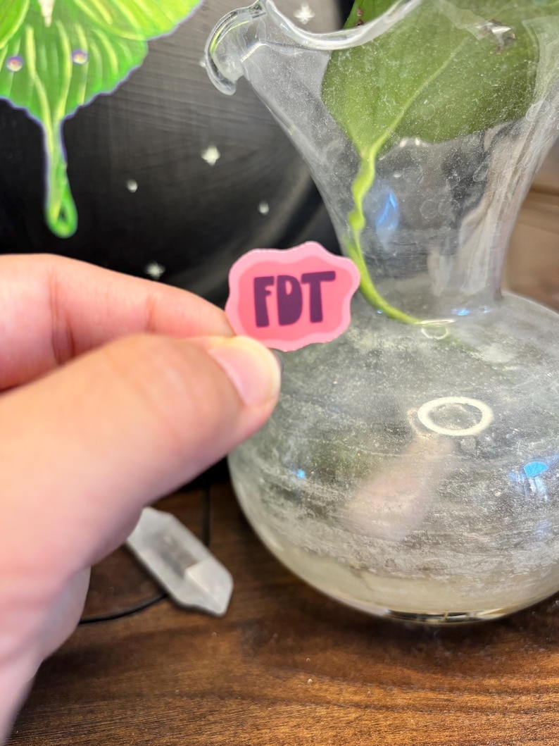 May include: A pink sticker with the letters "FDT" in dark purple. The sticker is held in front of a clear glass vase with a plant stem and leaf. A clear crystal pendant hangs in the background.