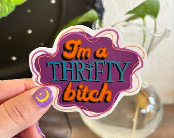 Klistermärke med "I'm a thrifty bit**", klistermärke med "Thrifting lovers", sött, flickigt, retro, klistermärke, stötfångarklistermärke, laptopklistermärke, vattenflaskklistermärke