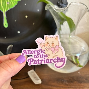 Peut inclure: Autocollant avec une illustration de chat de dessin animé portant un nœud rose et le texte "Allergic to the Patriarchy". Le chat lève sa patte avec des griffes. Le design est rose et blanc.